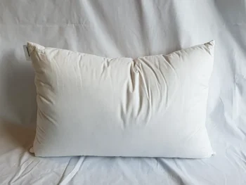 high-5-star-hotel-goose-down-pillow-