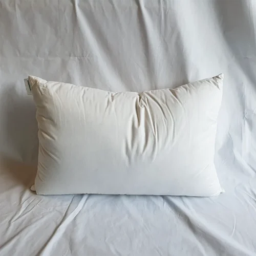 high-5-star-hotel-goose-down-pillow-